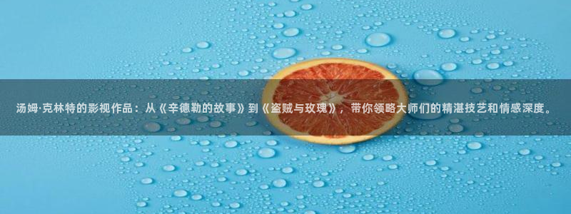 久久综合影院亚洲：汤姆·克林特的影视作品：从《辛德勒的故事》到《盗贼与玫瑰》，带你领略大师们的精湛技艺和情感深度。