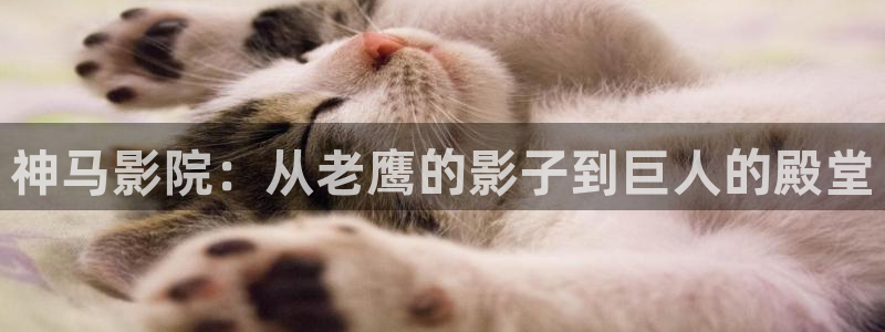 久久国产综合影院